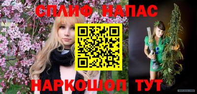 прущие грибы Кудымкар