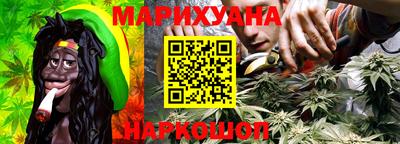 стафф Кудрово
