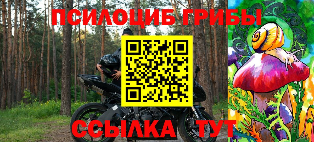Галлюциногенные грибы GOLDEN TEACHER  Галлюциногенные грибы ЛСД  Железногорск  Вход с VPN 