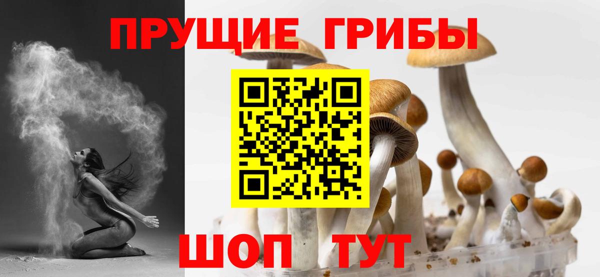 Псилоцибиновые грибы Psilocybine cubensis Железногорск
